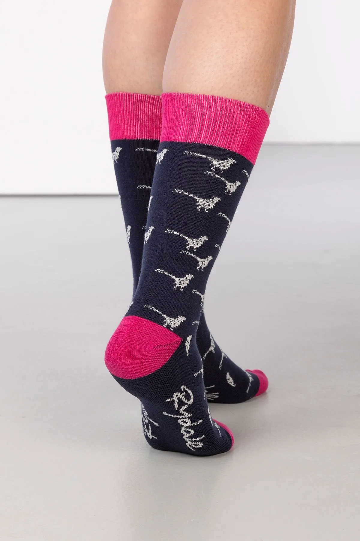 Ladies Wistow Ankle Socks